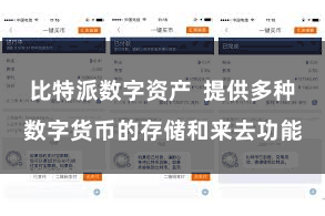 比特派数字资产  提供多种数字货币的存储和来去功能