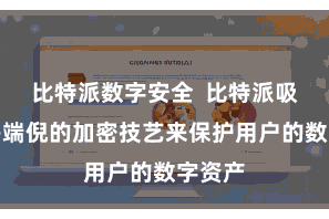 比特派数字安全 比特派吸收了多端倪的加密技艺来保护用户的数字资产