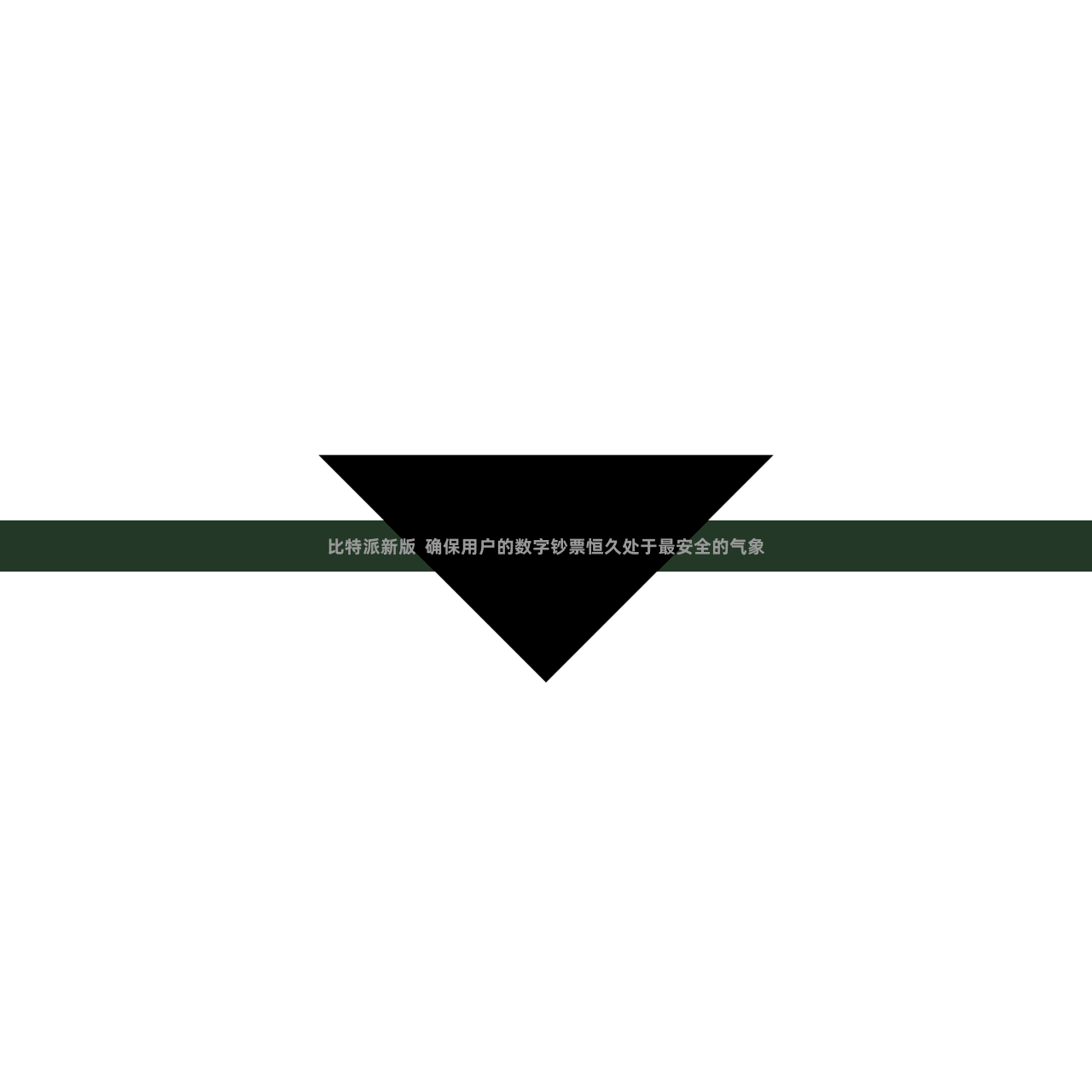 比特派新版 确保用户的数字钞票恒久处于最安全的气象