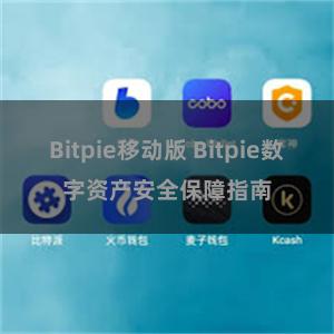 Bitpie移动版 Bitpie数字资产安全保障指南