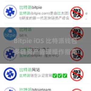 Bitpie iOS 比特派钱包多链资产管理操作指南