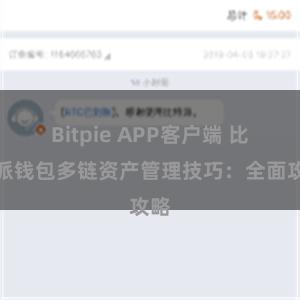 Bitpie APP客户端 比特派钱包多链资产管理技巧：全面攻略