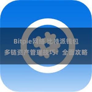 Bitpie网络 比特派钱包多链资产管理技巧：全面攻略