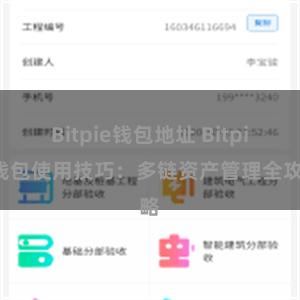 Bitpie钱包地址 Bitpie钱包使用技巧：多链资产管理全攻略