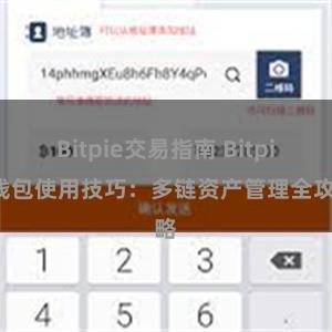 Bitpie交易指南 Bitpie钱包使用技巧：多链资产管理全攻略