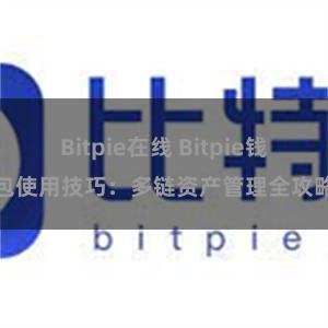 Bitpie在线 Bitpie钱包使用技巧：多链资产管理全攻略