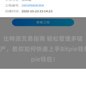 比特派交易指南 轻松管理多链资产，教你如何快速上手Bitpie钱包！