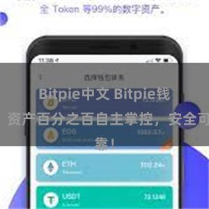 Bitpie中文 Bitpie钱包：资产百分之百自主掌控，安全可靠！