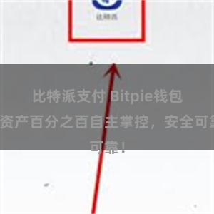 比特派支付 Bitpie钱包：资产百分之百自主掌控，安全可靠！