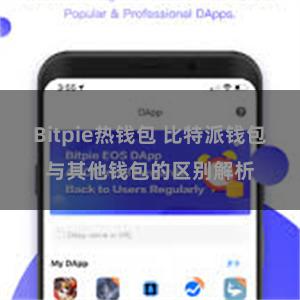 Bitpie热钱包 比特派钱包与其他钱包的区别解析