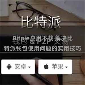 Bitpie应用下载 解决比特派钱包使用问题的实用技巧