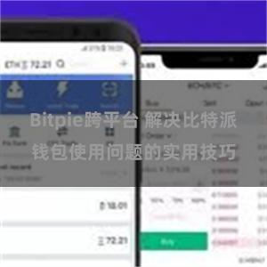 Bitpie跨平台 解决比特派钱包使用问题的实用技巧