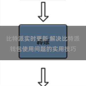 比特派实时更新 解决比特派钱包使用问题的实用技巧