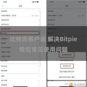 比特派客户端 解决Bitpie钱包常见使用问题