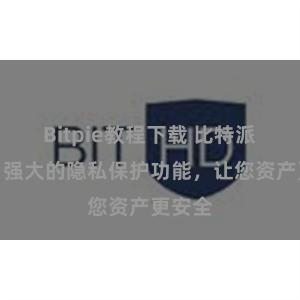 Bitpie教程下载 比特派钱包：强大的隐私保护功能，让您资产更安全