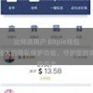 比特派用户 Bitpie钱包：强大的隐私保护功能，守护您的资产