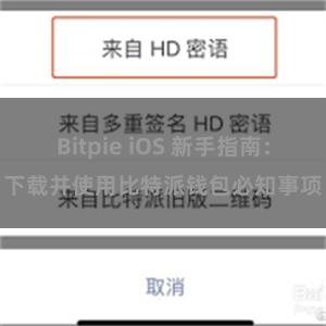 Bitpie iOS 新手指南：下载并使用比特派钱包必知事项