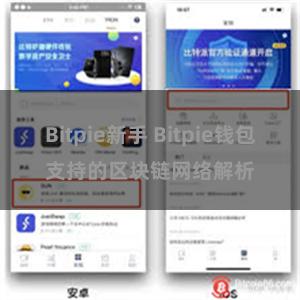 Bitpie新手 Bitpie钱包支持的区块链网络解析