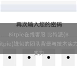 Bitpie在线客服 比特派(Bitpie)钱包的团队背景与技术实力