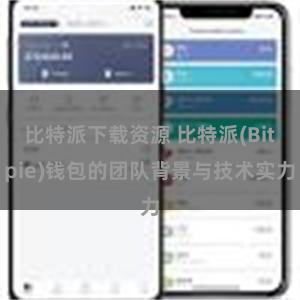 比特派下载资源 比特派(Bitpie)钱包的团队背景与技术实力