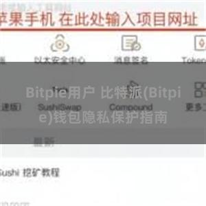 Bitpie用户 比特派(Bitpie)钱包隐私保护指南