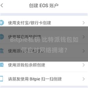 Bitpie私钥 比特派钱包如何应对网络拥堵？