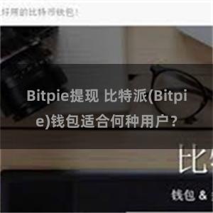 Bitpie提现 比特派(Bitpie)钱包适合何种用户？