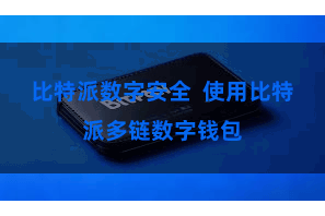 比特派数字安全  使用比特派多链数字钱包