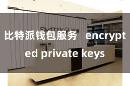 比特派钱包服务   encrypted private keys