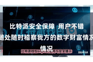 比特派安全保障  用户不错随处随时稽察我方的数字财富情况