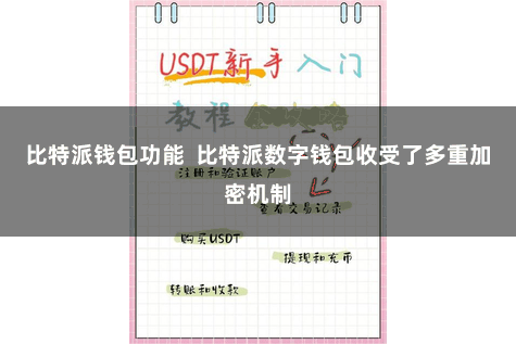 比特派钱包功能 比特派数字钱包收受了多重加密机制